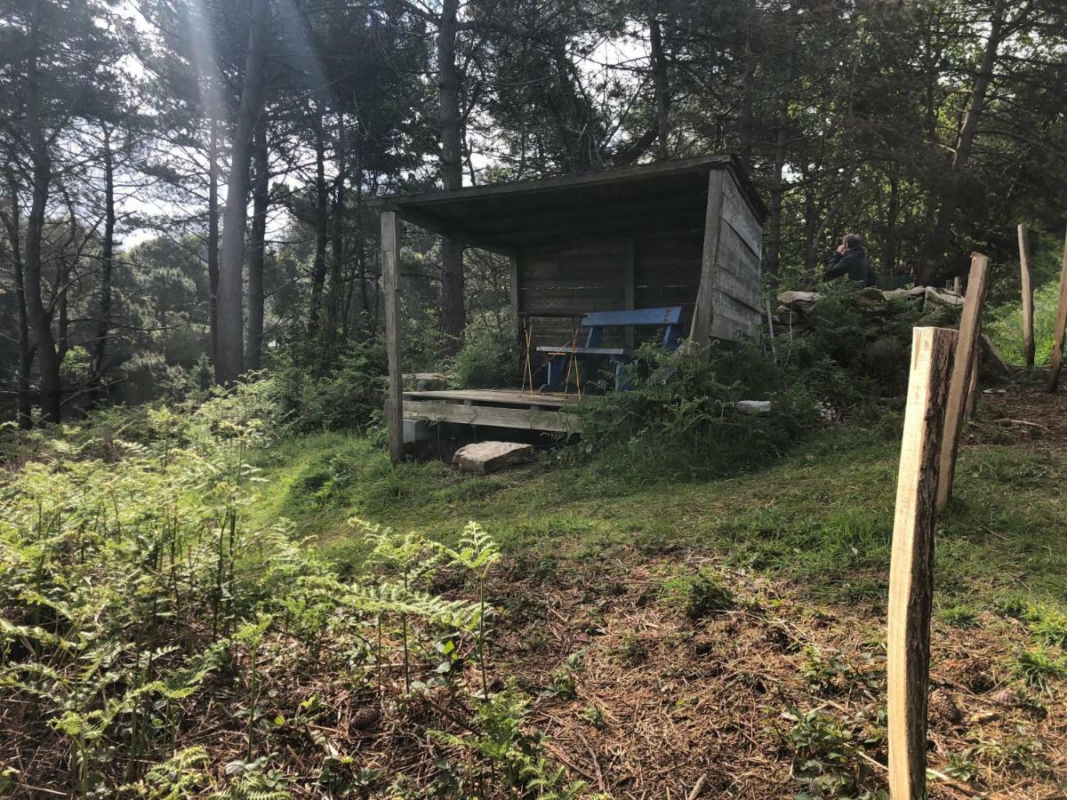 Les Fous De Bassans Bed & Breakfast Poullan-sur-Mer Eksteriør bilde